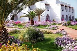 Three Corners Equinox Beach Resort - Marsa Alam. 